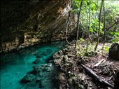 Cenote Pets Cemetery: by dannygoesdiving, Views[461]
