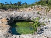 Cenote Caterpillar - entrance in quarry: by dannygoesdiving, Views[489]
