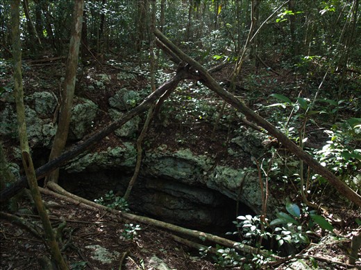 Cenote Caterpillar - 'Bob Cat'  entrance