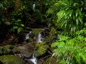 Emerald Falls: by dannygoesdiving, Views[338]