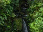 Jacko Falls: by dannygoesdiving, Views[776]