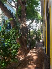 Old San Juan: by dannygoesdiving, Views[377]