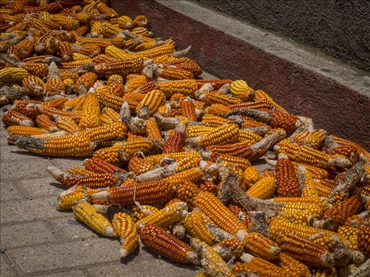 Lake Atilan - Santiago