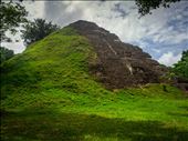 Tikal - The Great Pyramid: by dannygoesdiving, Views[382]