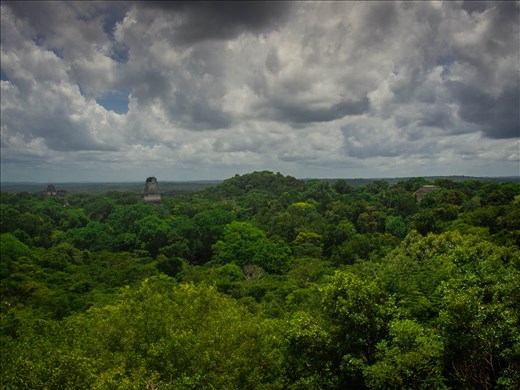 Tikal - views from the top of Temple 4