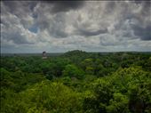 Tikal - views from the top of Temple 4: by dannygoesdiving, Views[379]