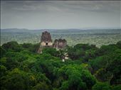 Tikal - views of Temple 1 & 2, taken from the top of Temple 4: by dannygoesdiving, Views[369]