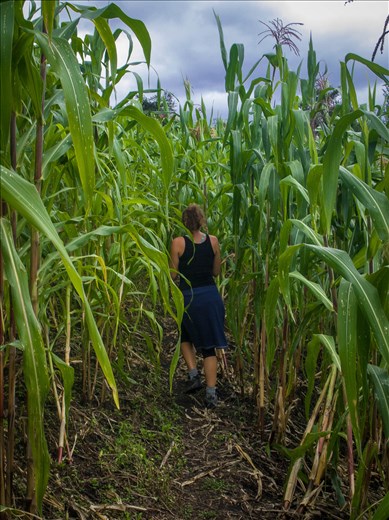 Lake Atilan - hike to Solola