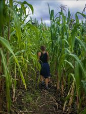 Lake Atilan - hike to Solola: by dannygoesdiving, Views[257]