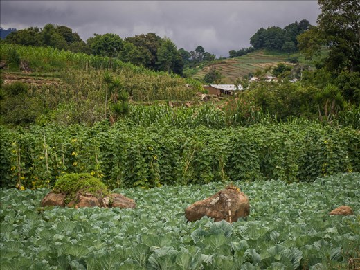 Lake Atilan - hike to Solola