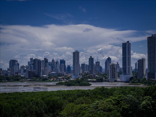 Casco Antiguo views from tower