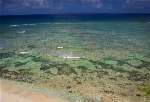 Views from the lighthouse