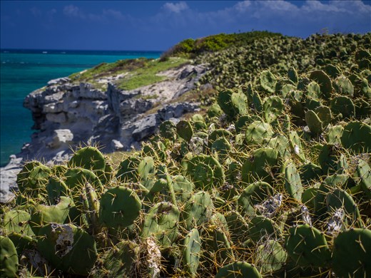 Views from the lighthouse