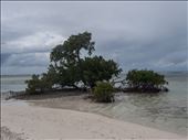 Little Bluff Point: by dannygoesdiving, Views[875]