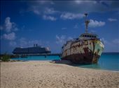Governors Beach - wreck and cruise ship: by dannygoesdiving, Views[1144]