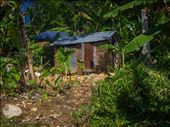 Dwellings alongside the roadside: by dannygoesdiving, Views[382]