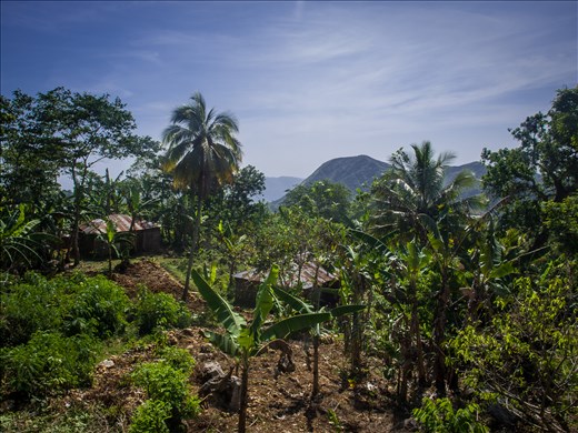 Dwellings alongside the roadside
