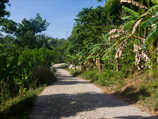 The road to the Citadel