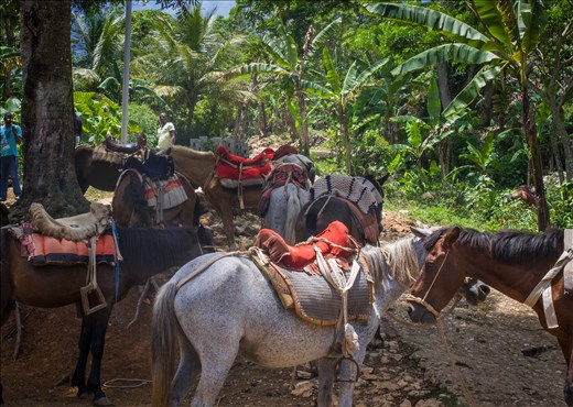 The 'ride of shame' !