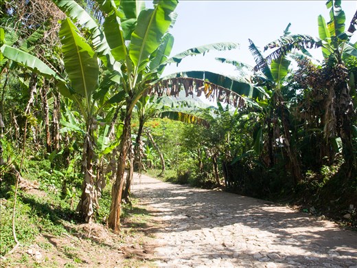 The road to the Citade