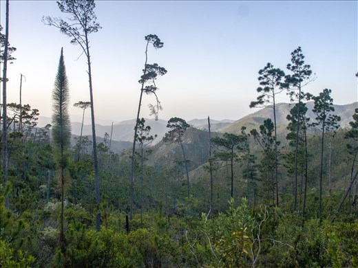 Spectacular views before the final descent to camp