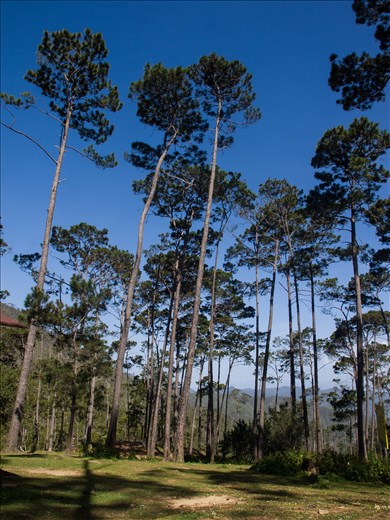 Base Camp - staring up at the sky whilst getting our breath back