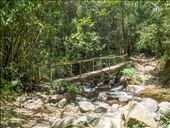 Crossing Los Tablones river (again): by dannygoesdiving, Views[330]