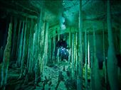 by dannygoesdiving, Views[728]