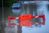 Swamped street in downtown Calgary. Cars wrecked, garbage-strewn shops and property damage running into the hundreds of millions.: by dansmythphoto, Views[664]