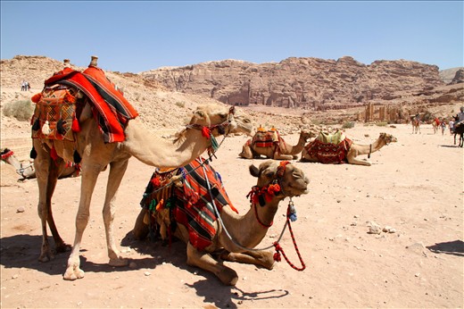 Local Transportation: On stand-by and on the move