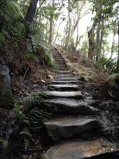 by darcyleggett, Views[182]