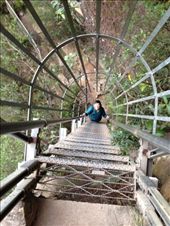 by darcyleggett, Views[210]