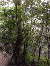 by darcyleggett, Views[201]