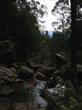 by darcyleggett, Views[124]