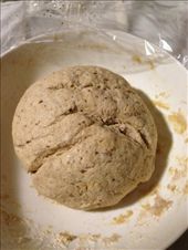 by darcyleggett, Views[144]