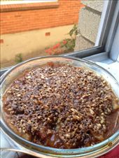 by darcyleggett, Views[156]