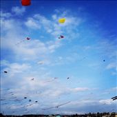 by darcyleggett, Views[144]