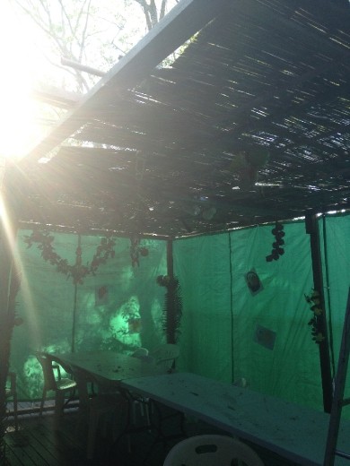 Sukkah