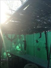 by darcyleggett, Views[132]