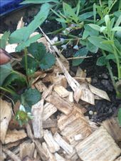 by darcyleggett, Views[172]