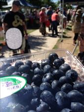 by darcyleggett, Views[188]