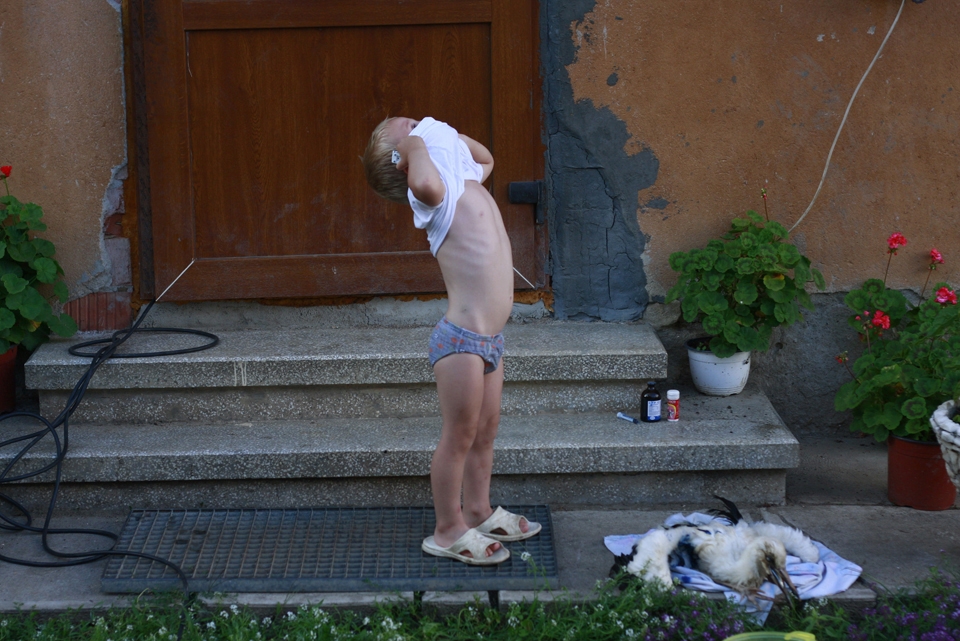 David is looking at the sky near a wounded baby stork, in Cristian city, somewhere in the centre of Romania, in July 2010. His parents founded in 2007, right in their own backyard, a rehabilitation center for injured storks.