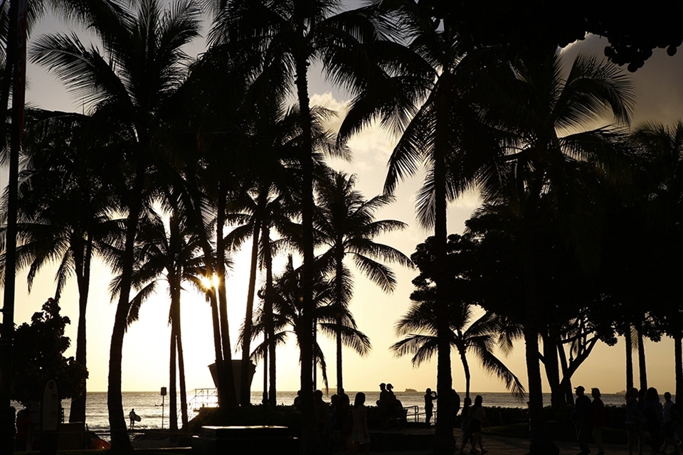 Turned and saw this scene as I was leaving the beach. This image for me summarized life in Hawaii. Full of life in different forms, locals, tourists, sun and sea. The surfer staring out at the waves made me want to leave everything behind and stay right there.