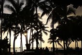 Turned and saw this scene as I was leaving the beach. This image for me summarized life in Hawaii. Full of life in different forms, locals, tourists, sun and sea. The surfer staring out at the waves made me want to leave everything behind and stay right there.: by darryl_putter, Views[744]