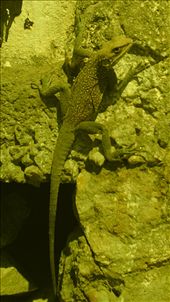 trying to reach the destination.........: by darshika, Views[327]