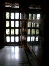 shadow........: by darshika, Views[219]