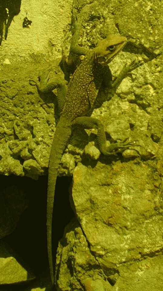 trying to reach the destination.........