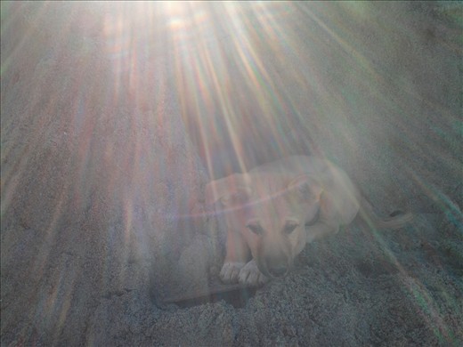 enjoying the rays.......