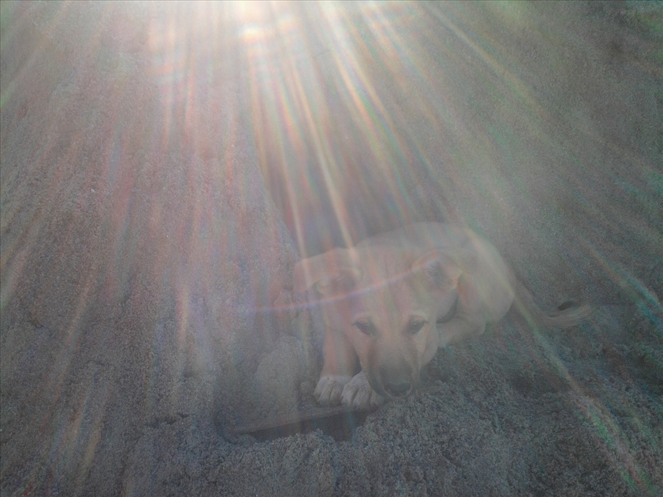 enjoying the rays.......