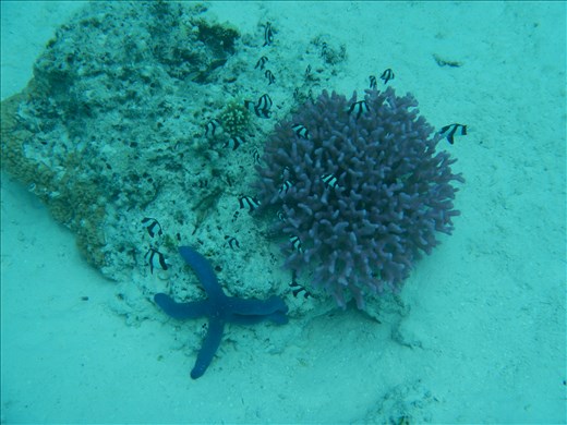 Such diversity in a small area. Teaming with life and cooperation. 